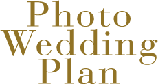 Photo Wedding Plan